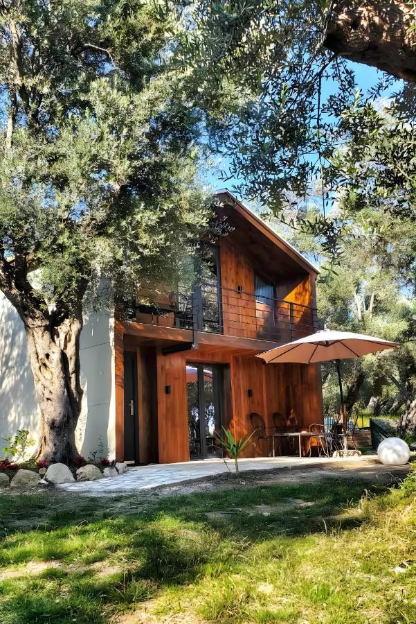 Coratina Cottage Ulcinj Ngoại thất bức ảnh
