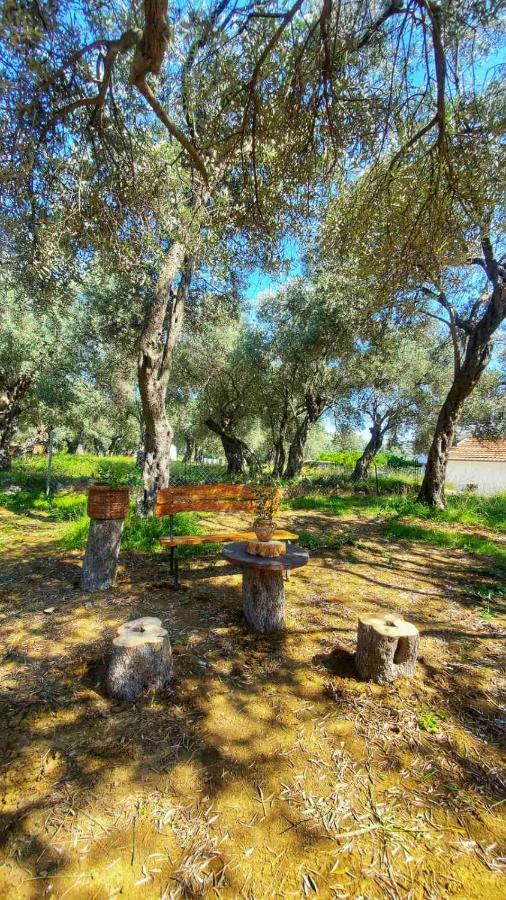 Coratina Cottage Ulcinj Ngoại thất bức ảnh